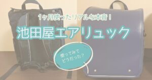 池田屋エアリュック、1か月使った使用感レビュー