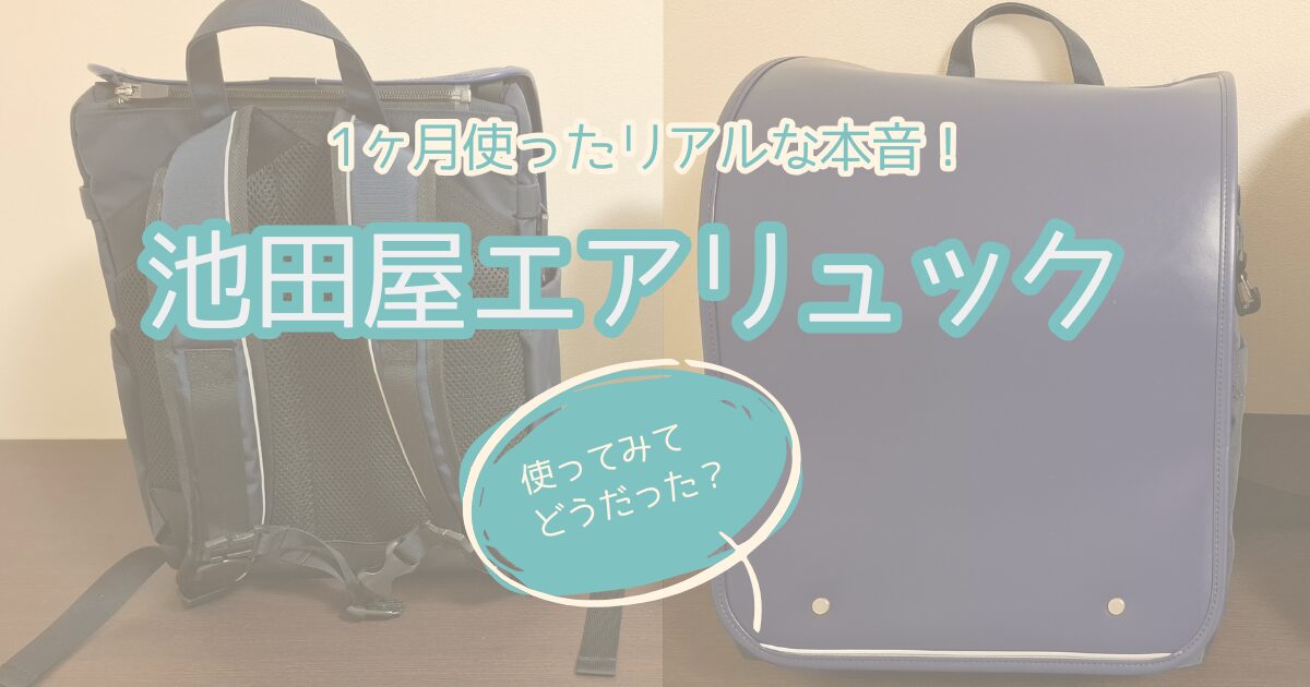 池田屋エアリュック、1か月使った使用感レビュー